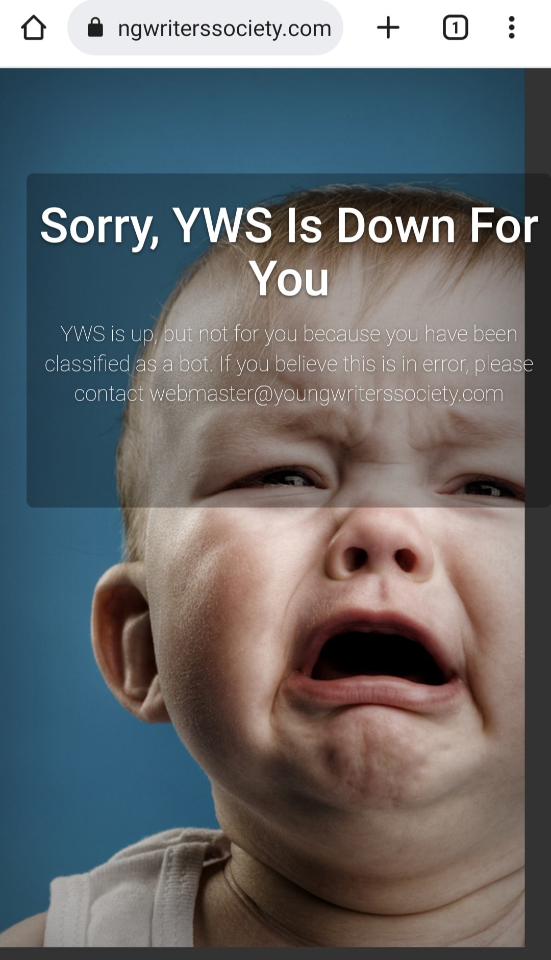 yws-min.jpg