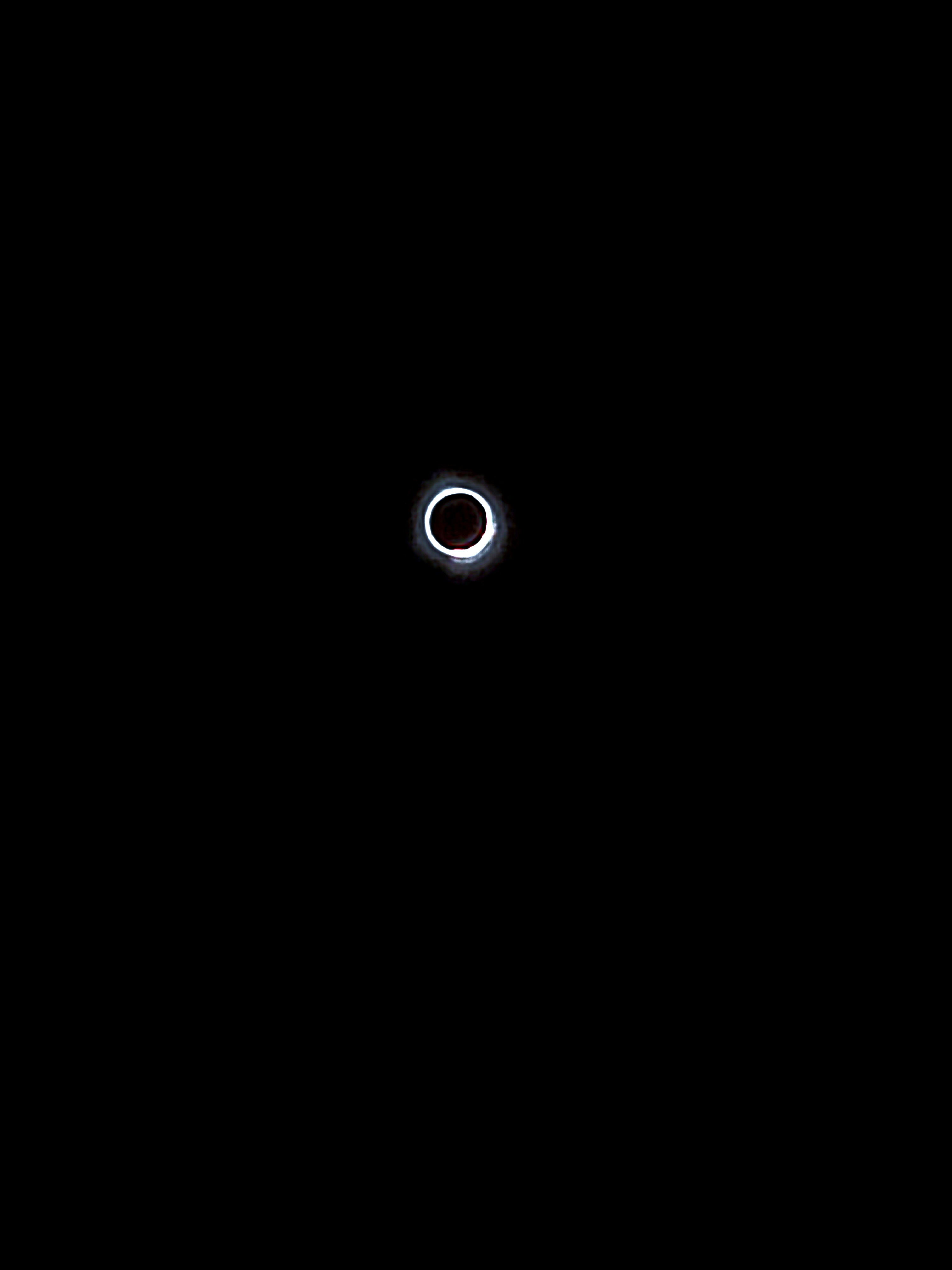 1000010380.jpg