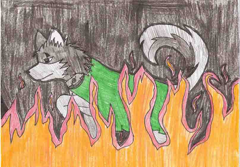 Wolf.jpg