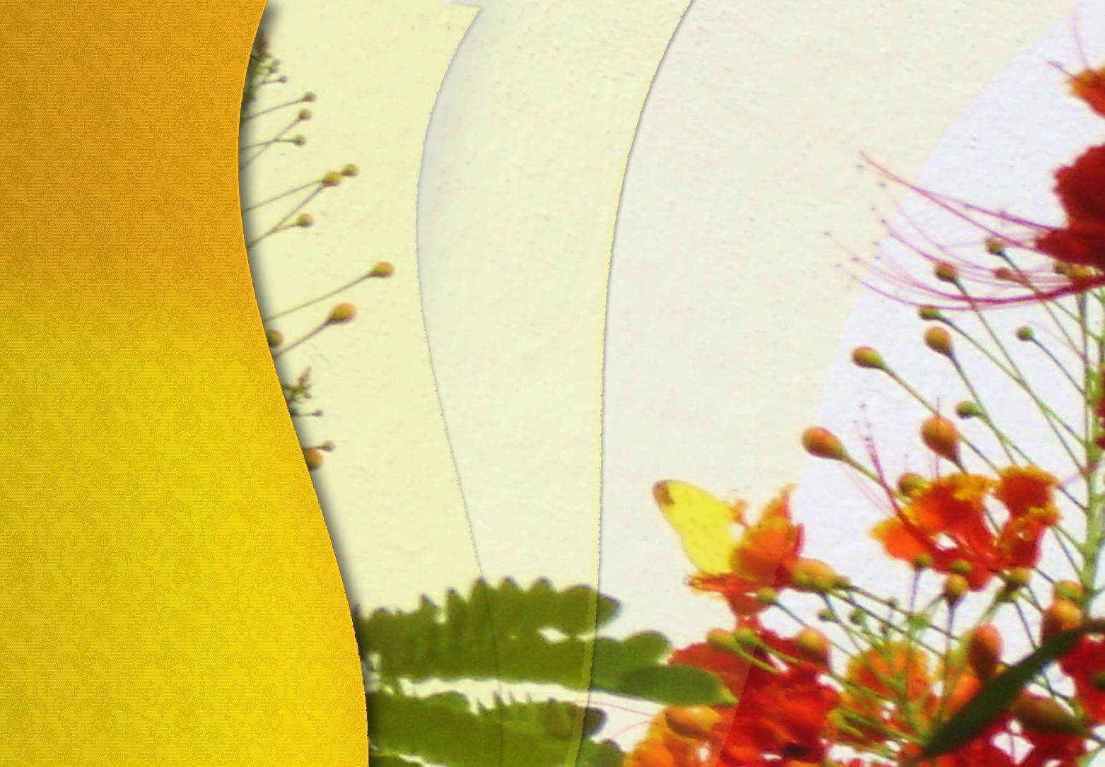yellow.JPG