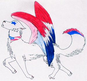 9-11.jpg