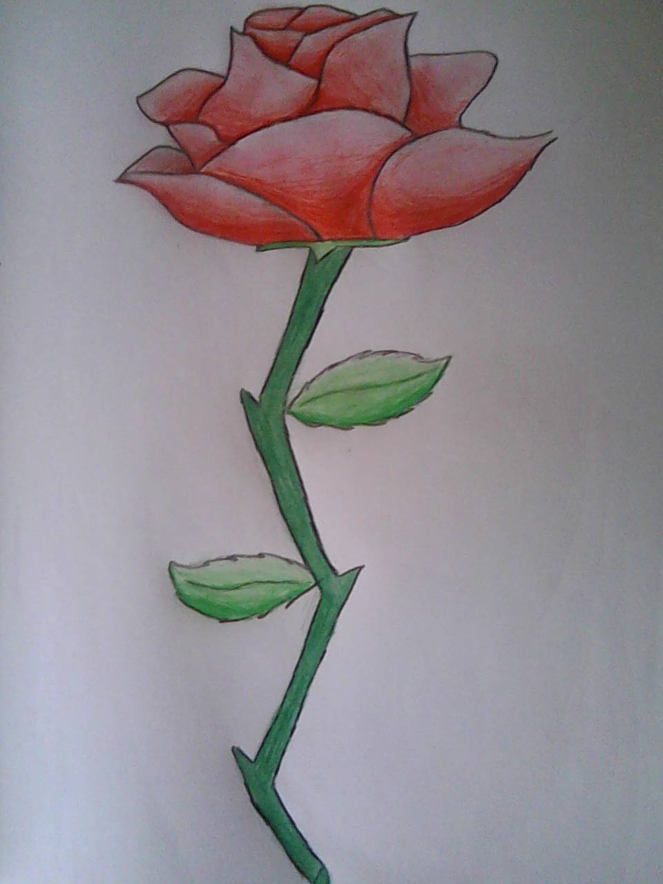 Clarissa's Sketch 2.jpg