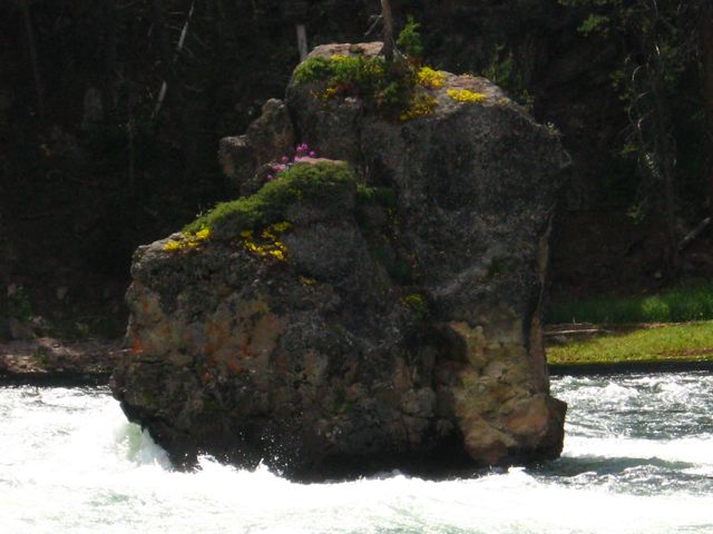 Living Rock.jpg