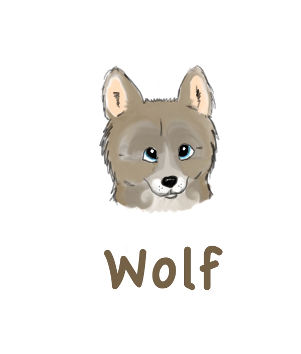 Litttle Brown Wolf2.jpg
