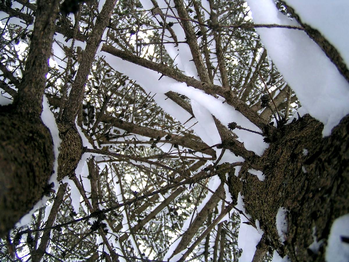 Picture1.jpg