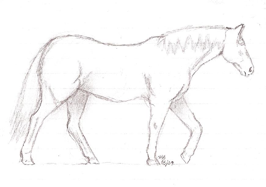 scan0002.jpg
