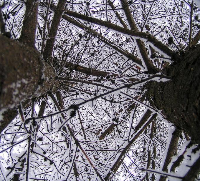 PICT0173.JPG