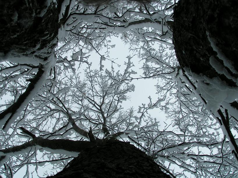 PICT0175.JPG