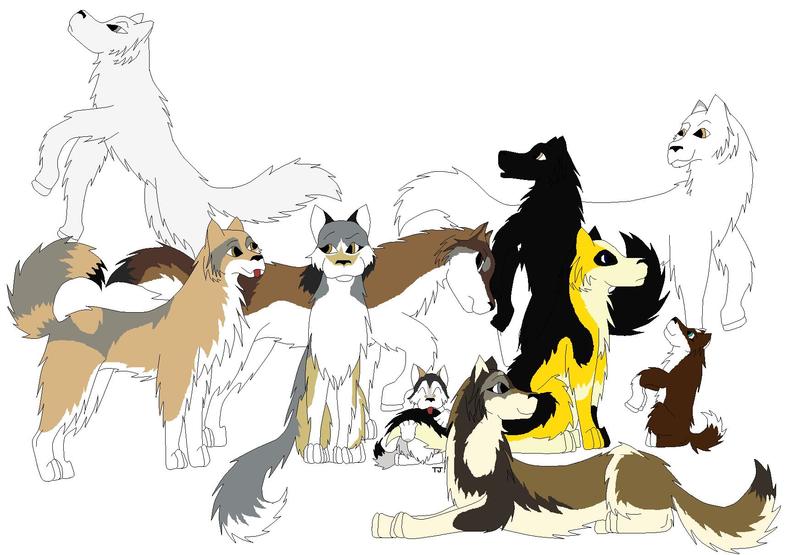 Yellow Hill Wolves.jpg