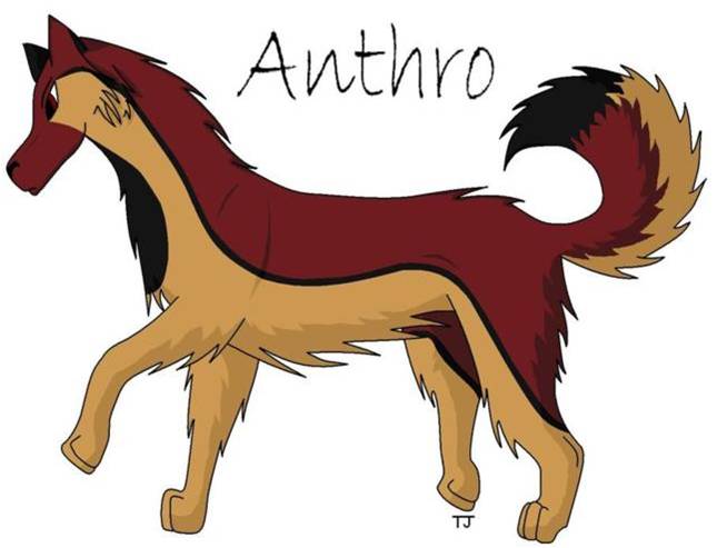 Anthro.jpg