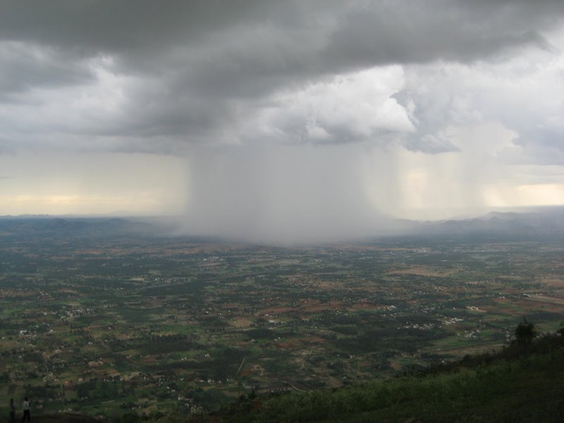 rain.jpg