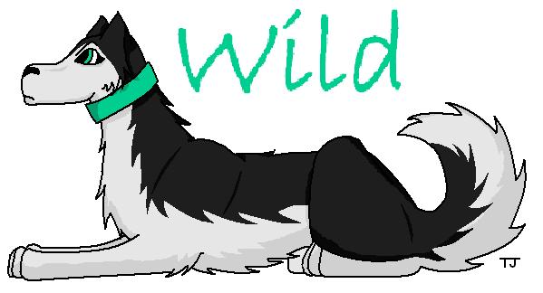 Wild.jpg