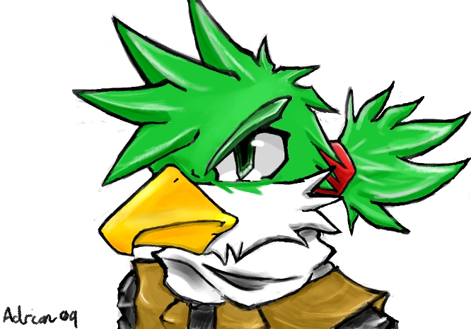 cool bird.jpg