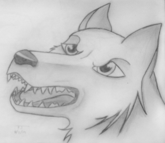 Wolf.jpg