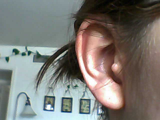ears.jpg