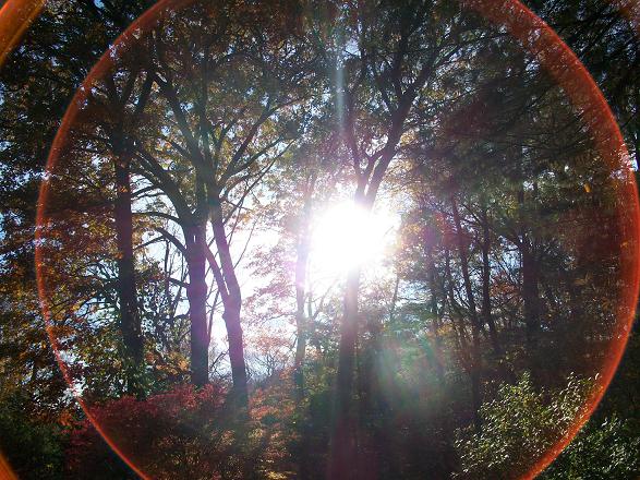 fallpics 343.jpg