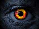 Chinook as a person-his eyes-1.jpg