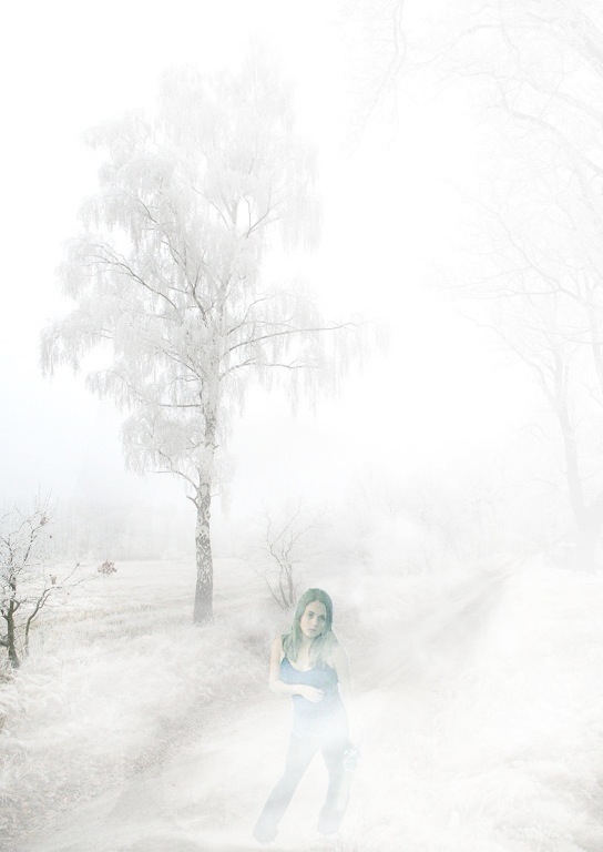a world of ice and fog.jpg
