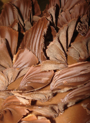 Chocolate excess.JPG