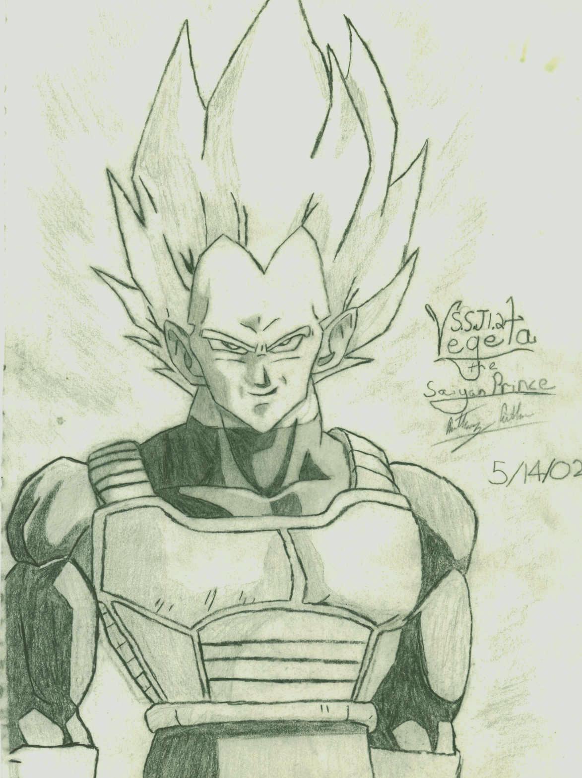 Prince of the Saiyans.JPG