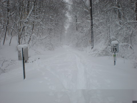 DSCN0177.JPG