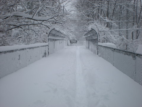 DSCN0179.JPG