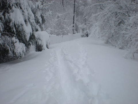 DSCN0184.JPG