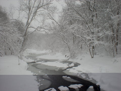 DSCN0201.JPG