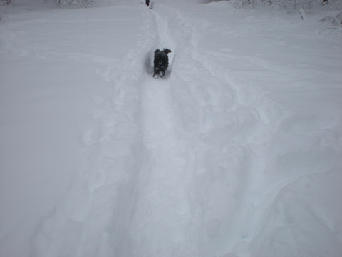 DSCN0223.JPG