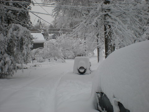 DSCN0239.JPG
