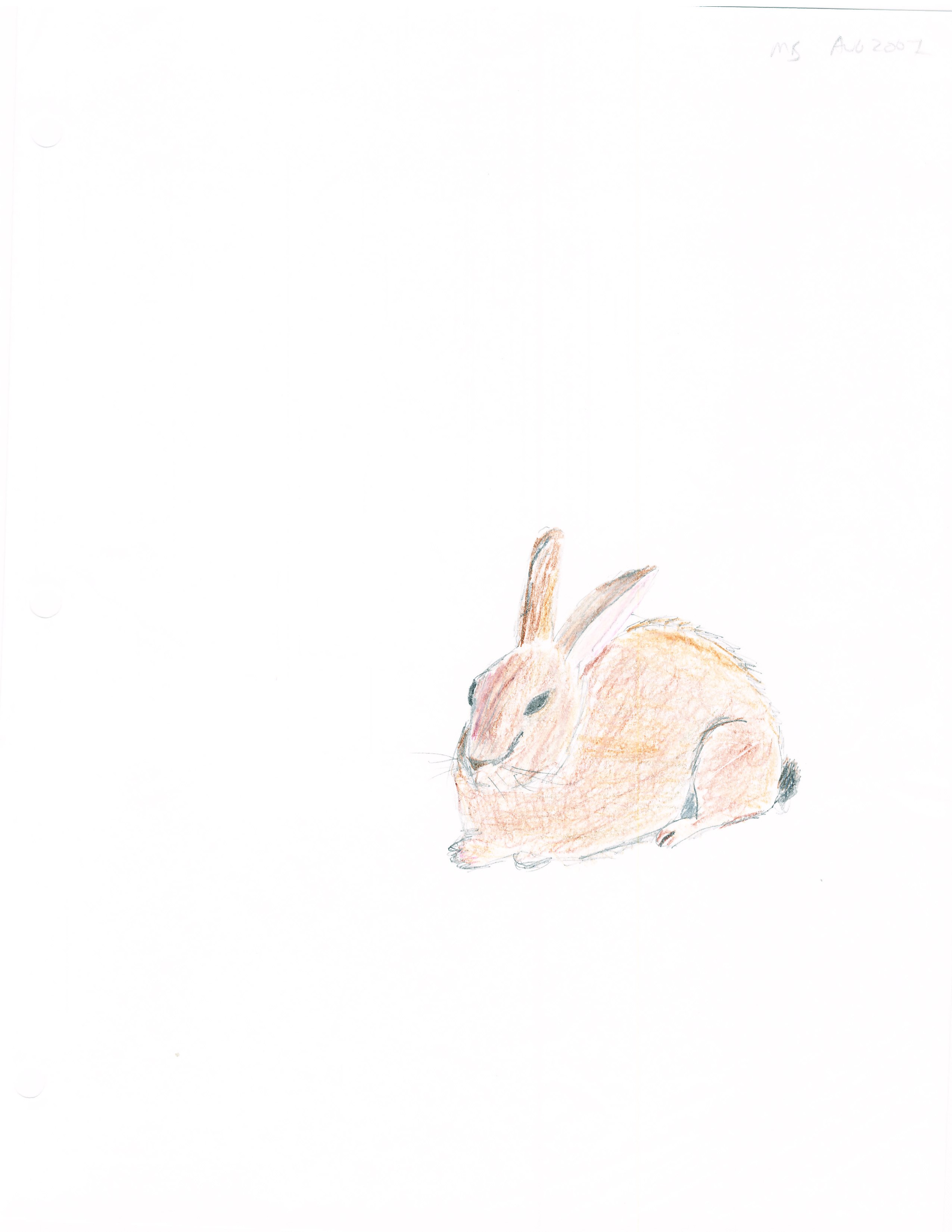 MB_Bunny1.jpg