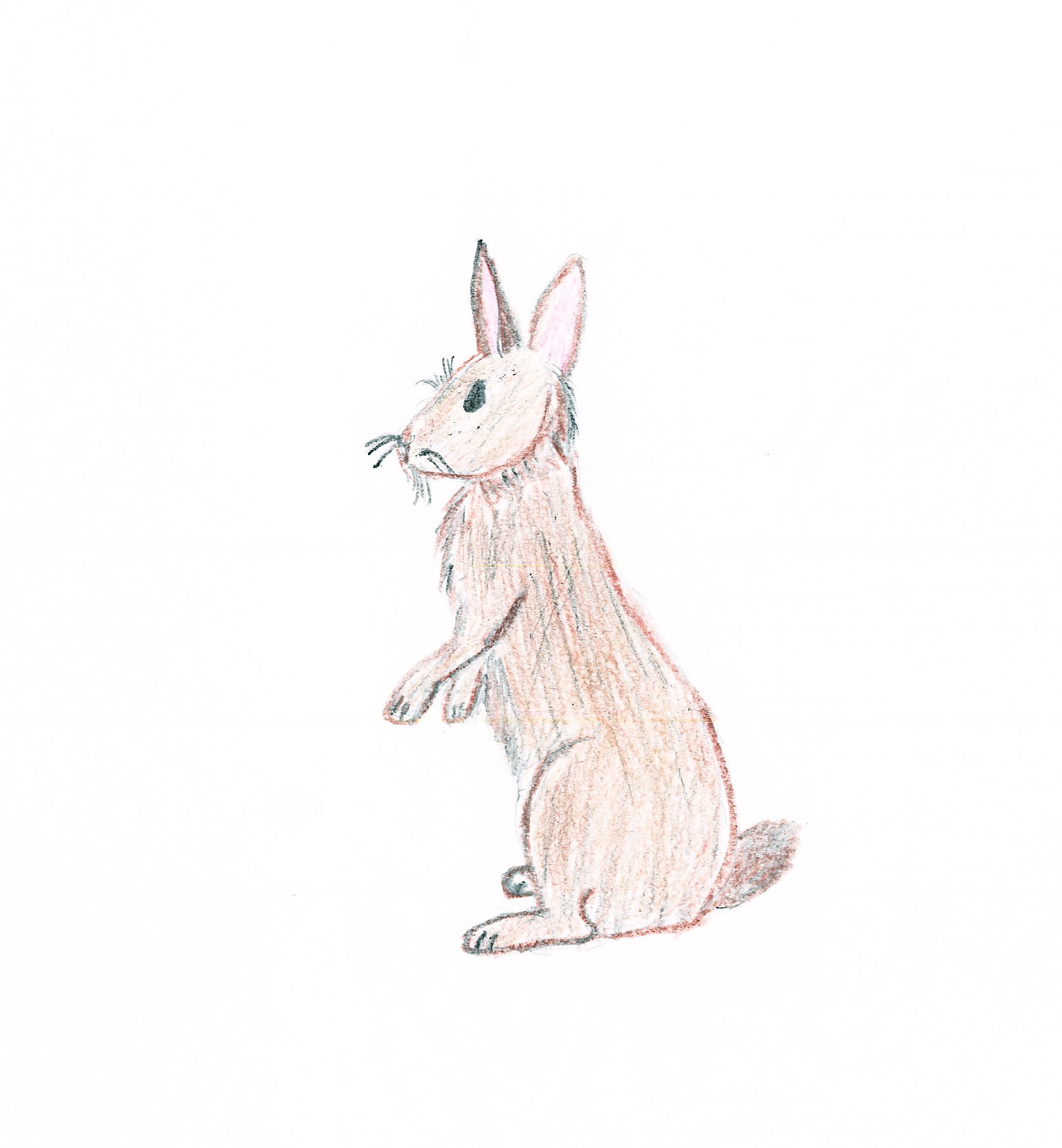 MB_Bunny2.jpg