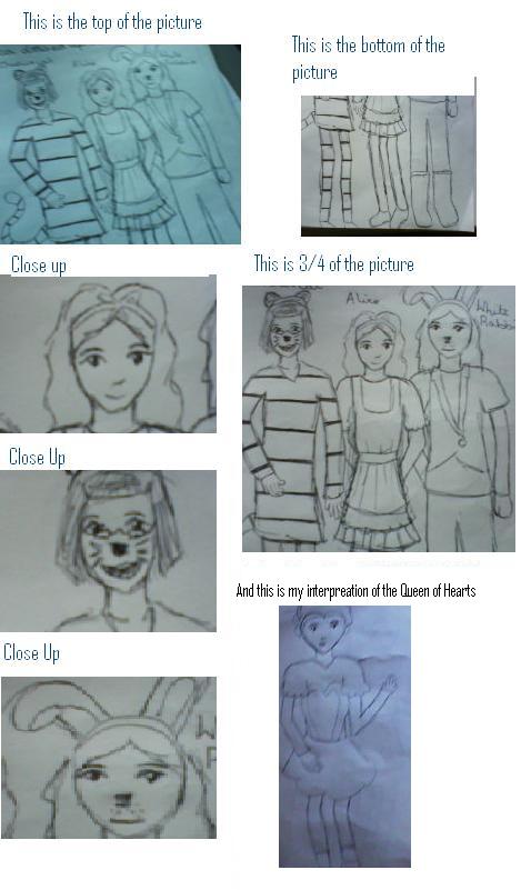 ALICE IN WONDERLAND.JPG