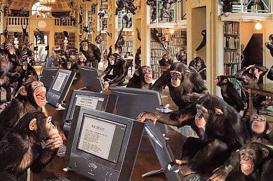 monkey_computer111.jpg