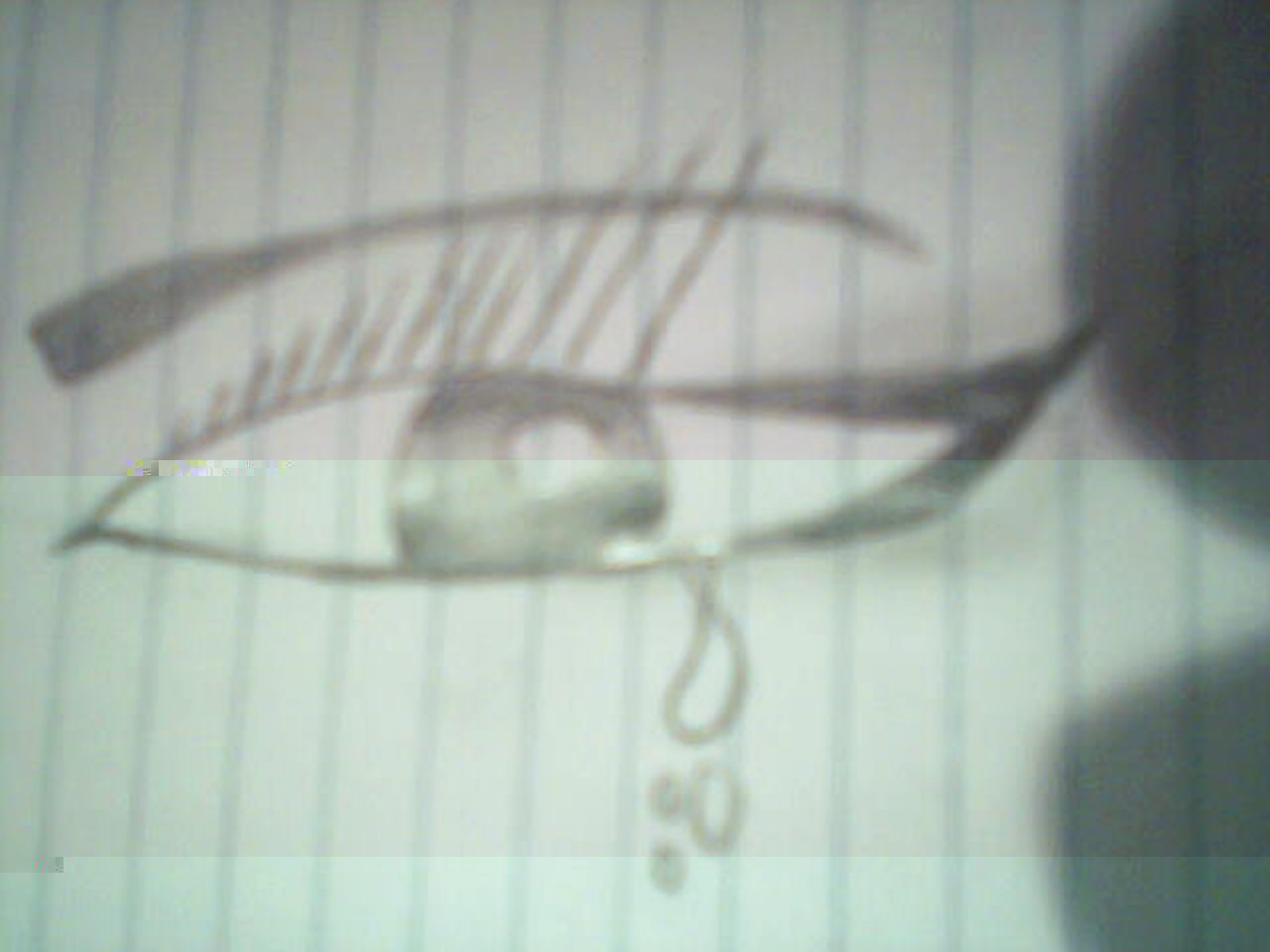 eye.jpg