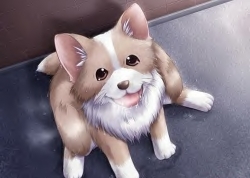 DOGGY.jpg
