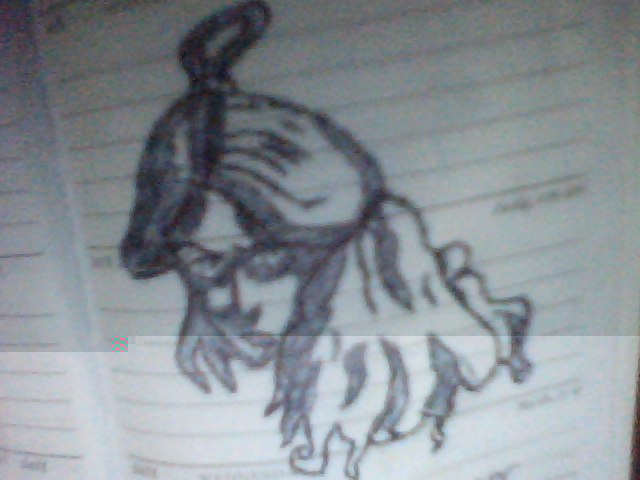 Snapshot_20100417_2.jpg