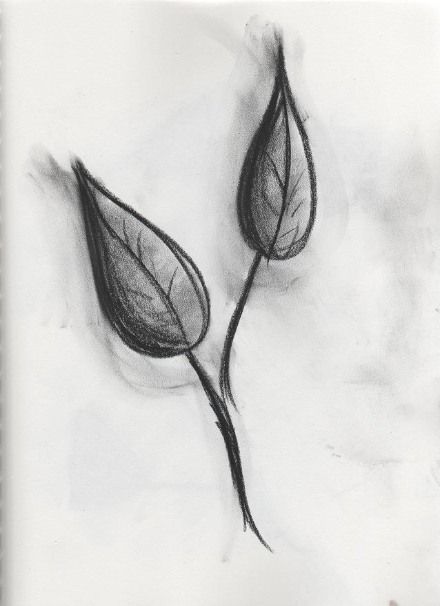 charcoal3.jpg