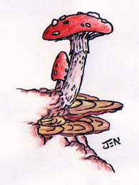 01.jpg