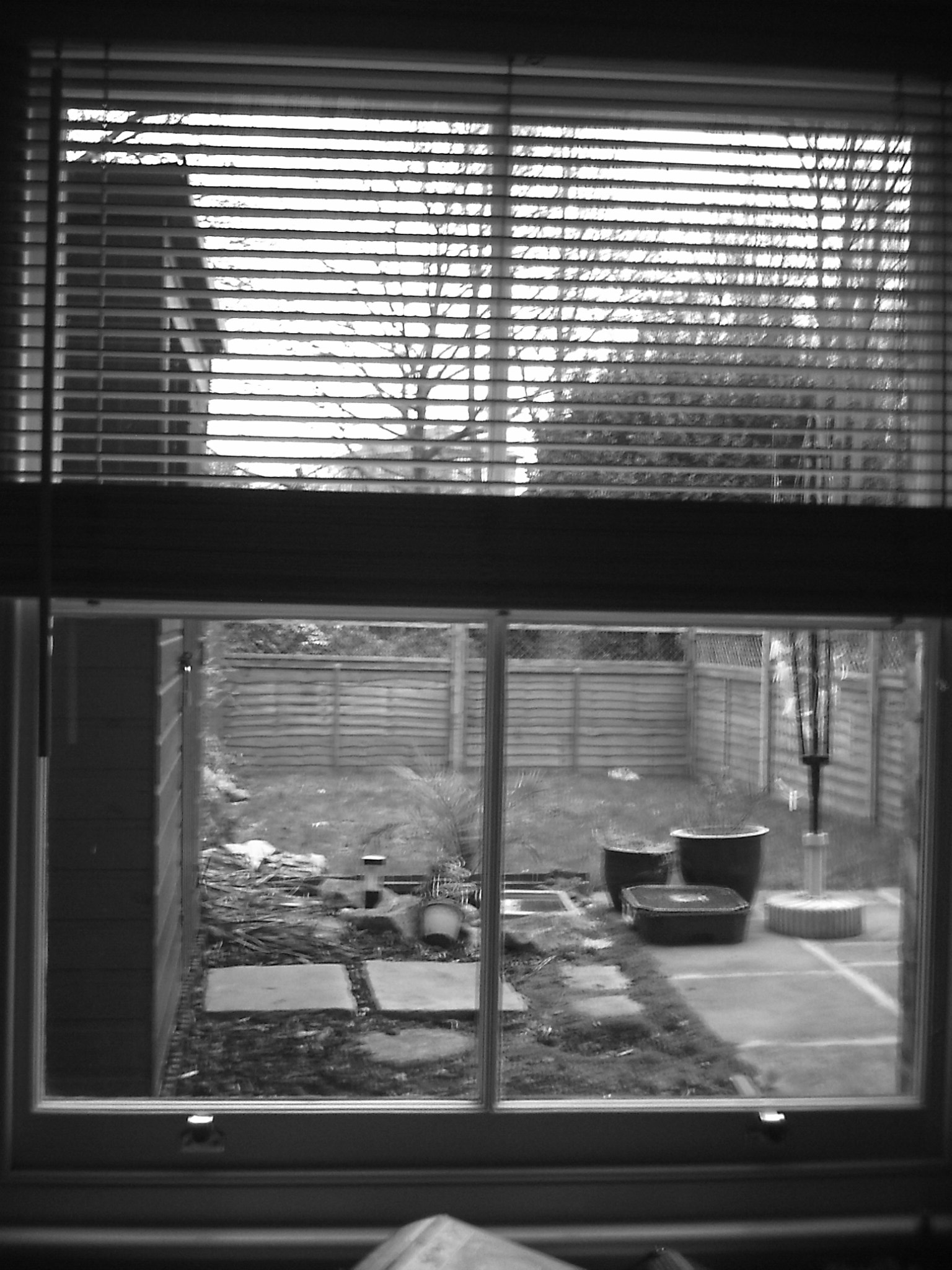 PICT0016.JPG