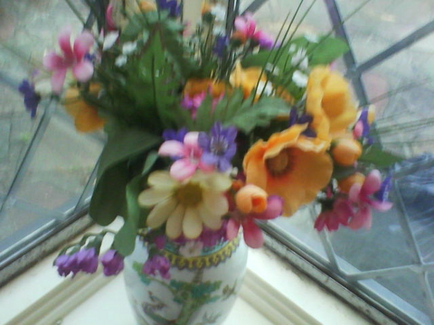 rsz_indr_flower2.jpg