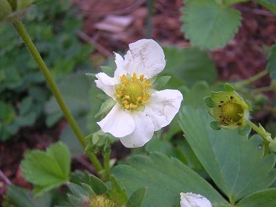 DSCN1819.jpg