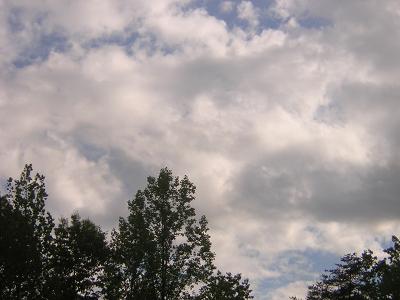 DSCN1793.jpg