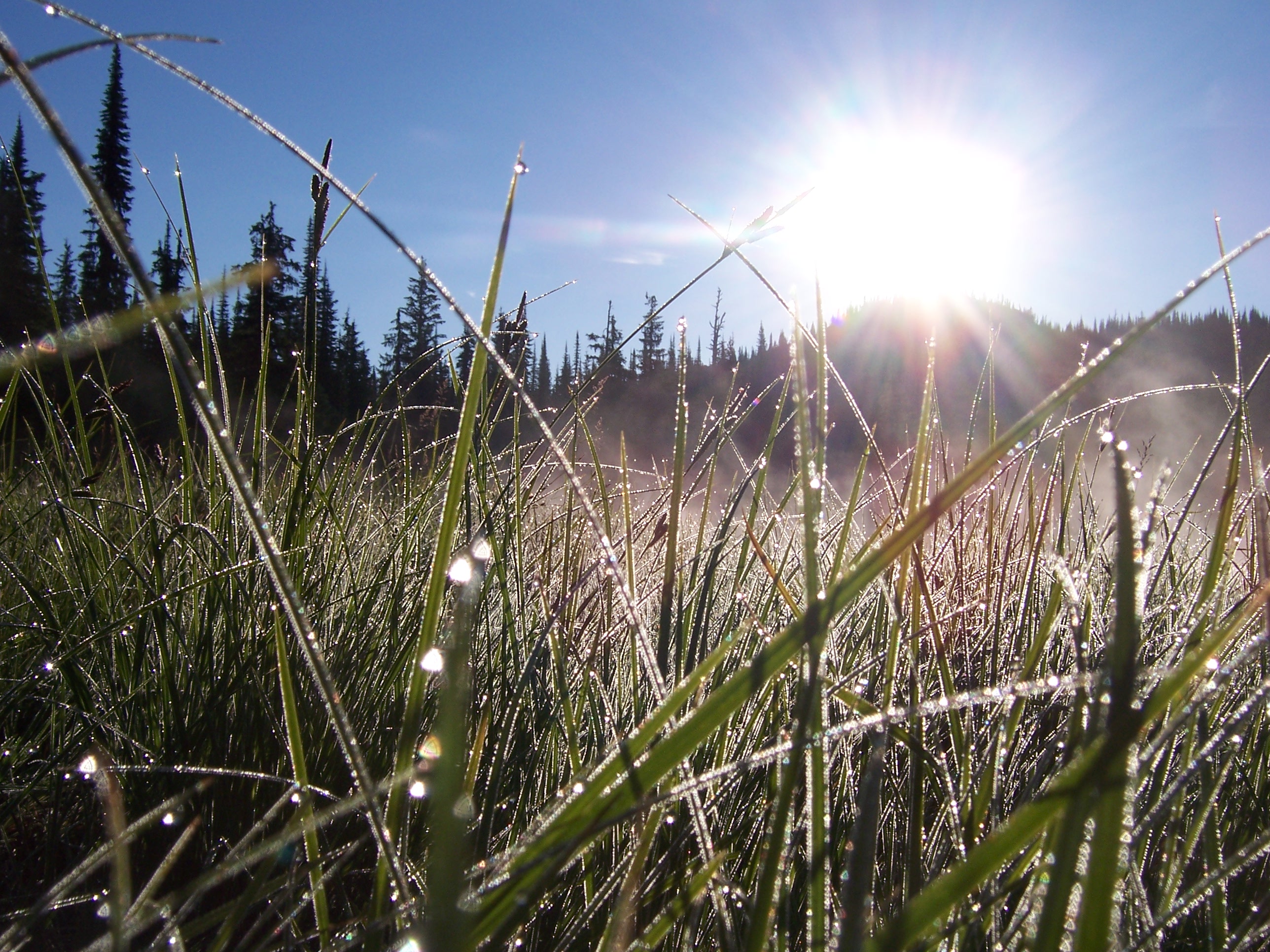 Scouts Summer Camp to 50-miler 209.jpg