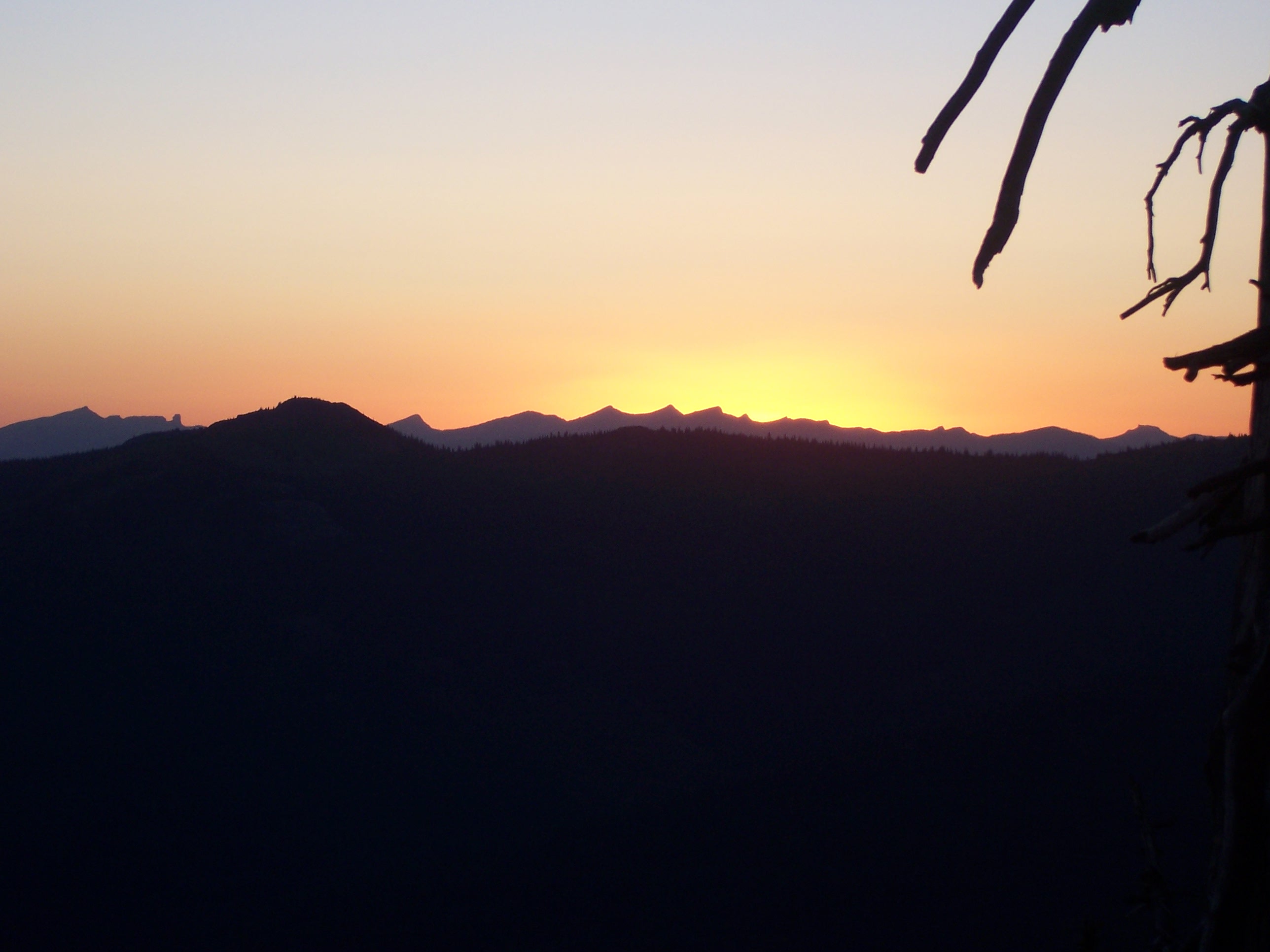 Scouts Summer Camp to 50-miler 508.jpg