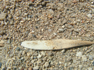 DSCF4189.jpg
