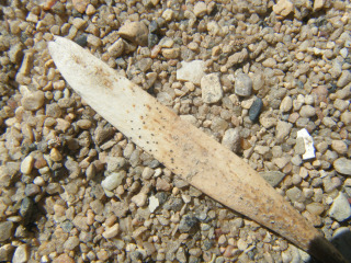 DSCF4191.jpg