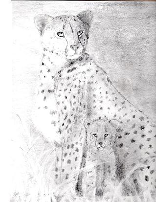 cheetahs.JPG