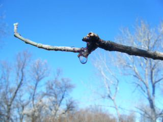 DSCF3869.jpg