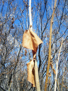 DSCF3871.jpg